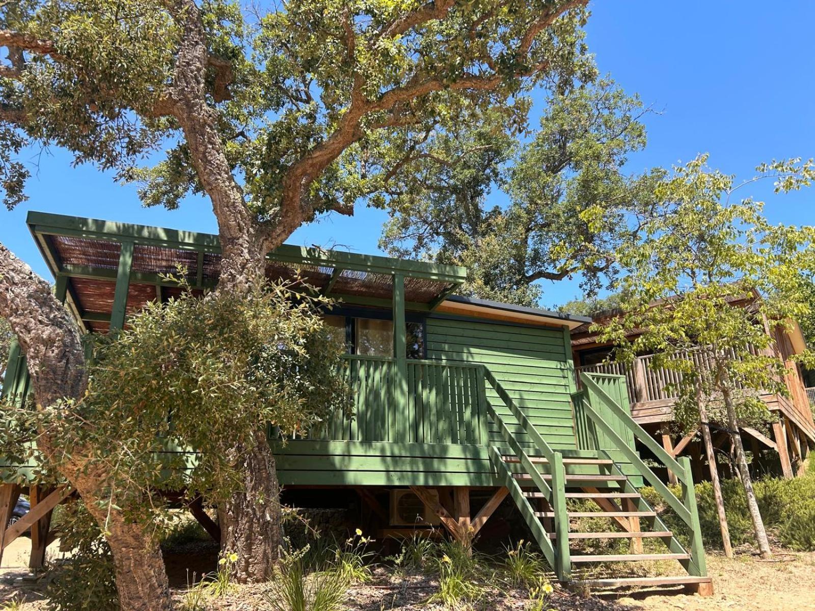 Camping Cala Pola ตอสซาเดมาร์ ภายนอก รูปภาพ