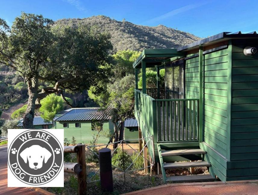 Camping Cala Pola ตอสซาเดมาร์ ภายนอก รูปภาพ